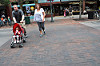 Physical Design and Walkability in Traverse City with Decorative Brick Crosswalk